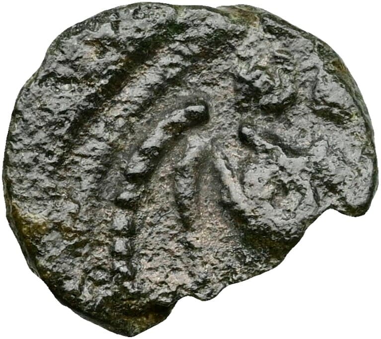 AE4 · Ravenna — reverse